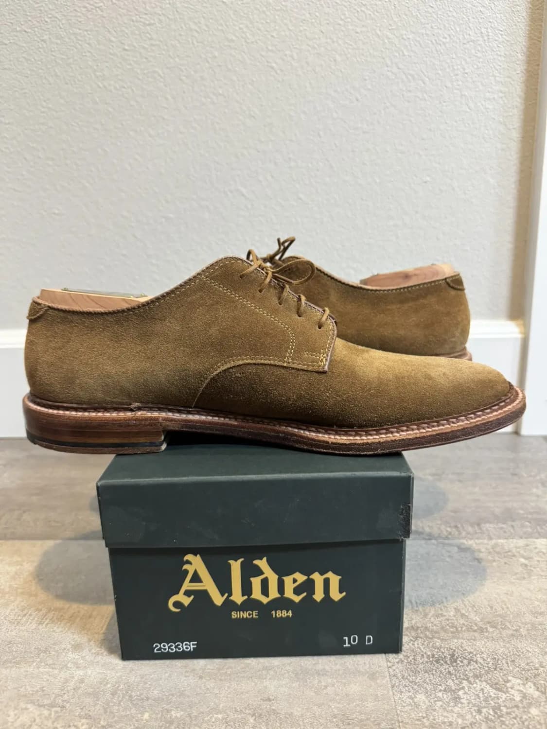 10D 알든 29336F  플레인토 더비  스너프 스웨이드 상품이미지10