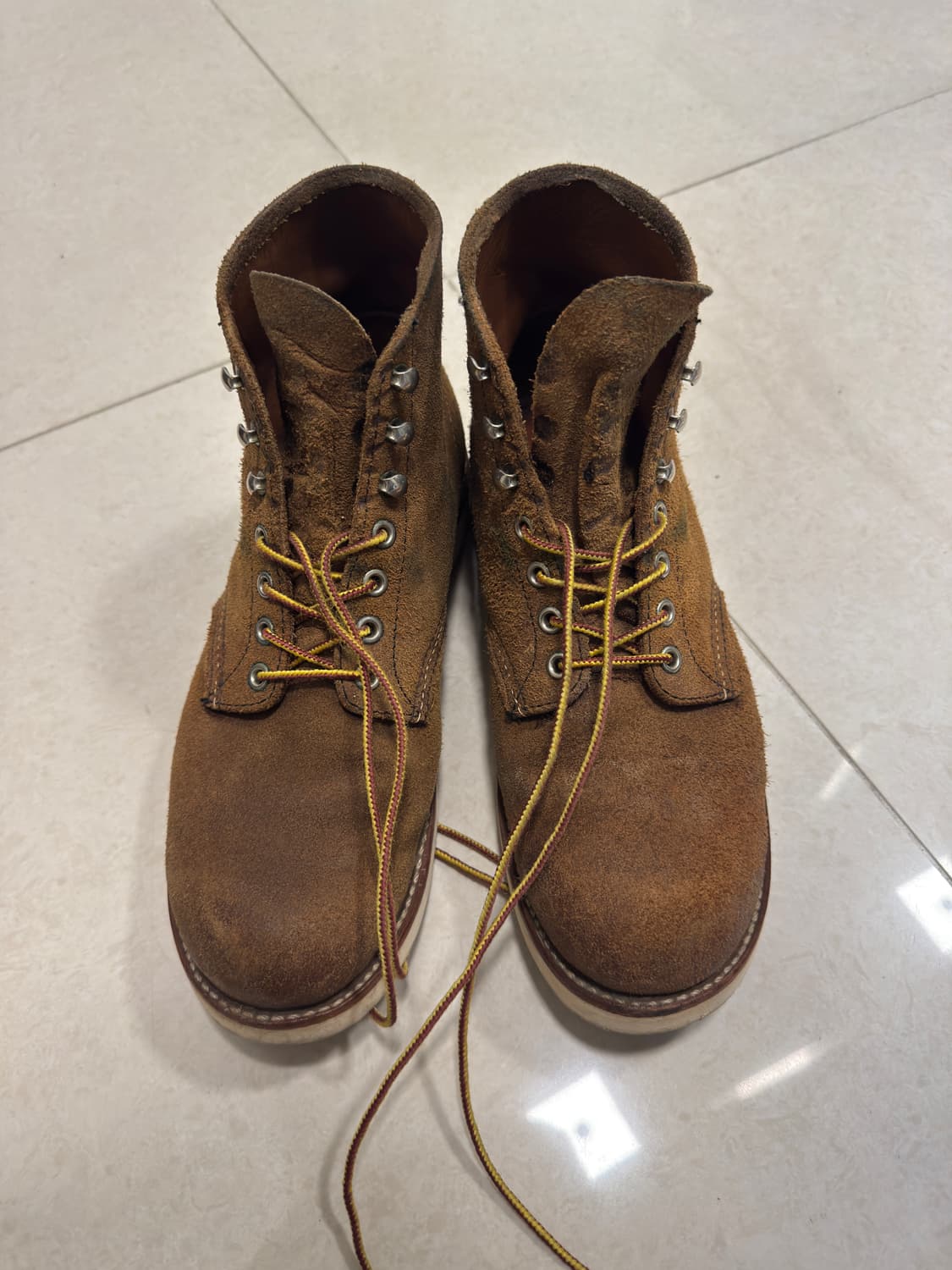 레드윙 8181 라운드토 270 상품이미지2