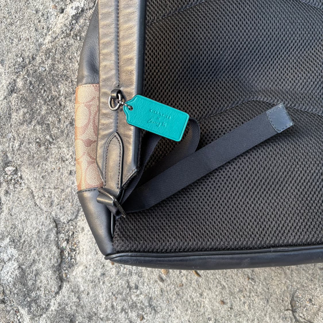 코치 x GUANG YU 레더 트림 코팅 캔버스 백팩 상품이미지7