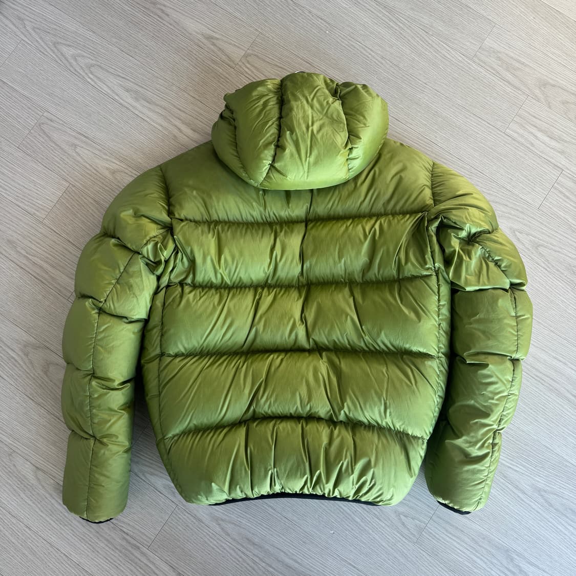 [XL] 페더드 프렌즈 헬리오스 구형 그래스 상품이미지2