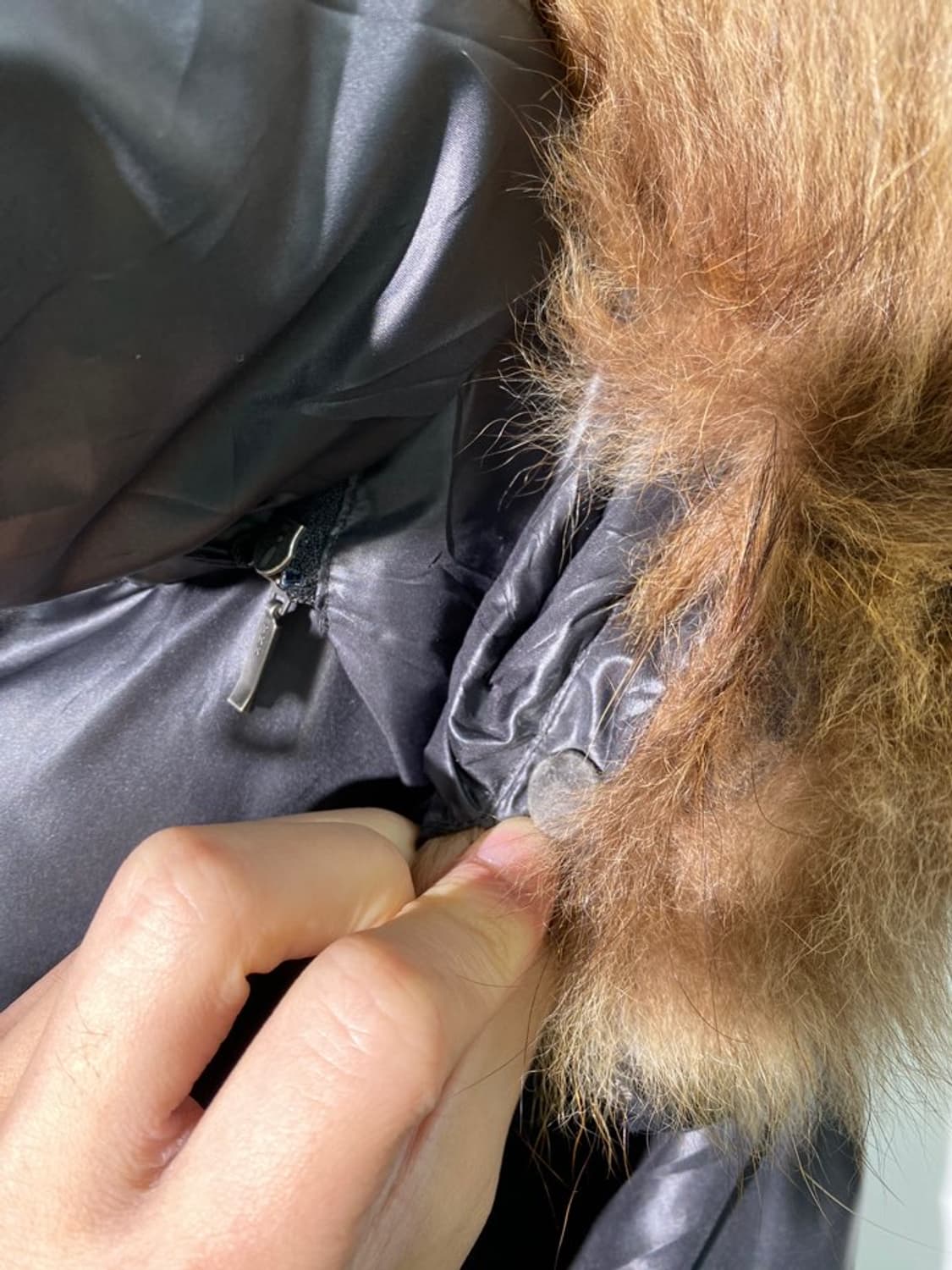 d home a homme 퍼 후드 패딩 상품이미지3