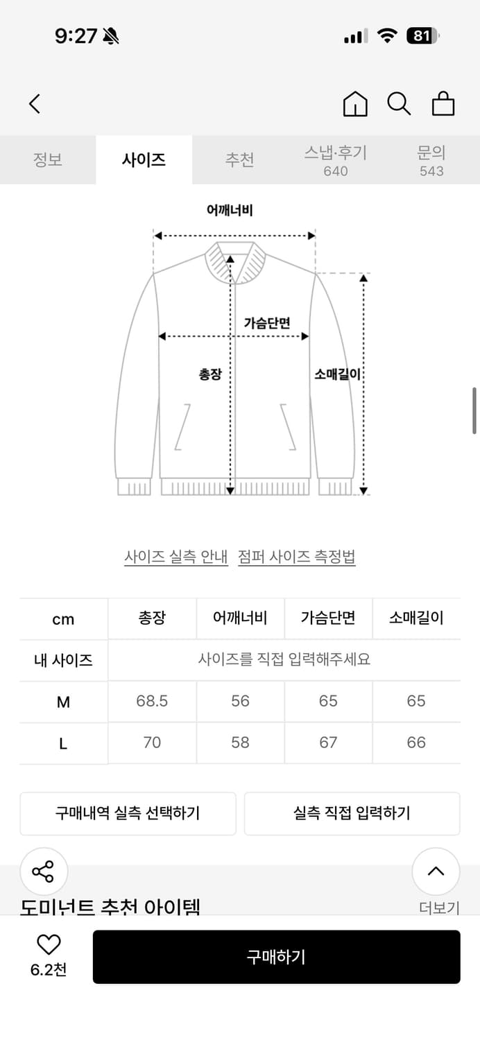 도미넌트 바시티자켓 상품이미지4