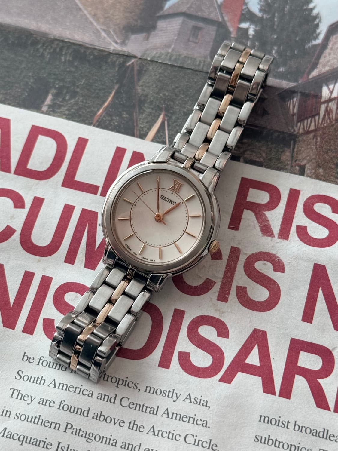 세이코 Seiko 콤비 레이디스 상품이미지1