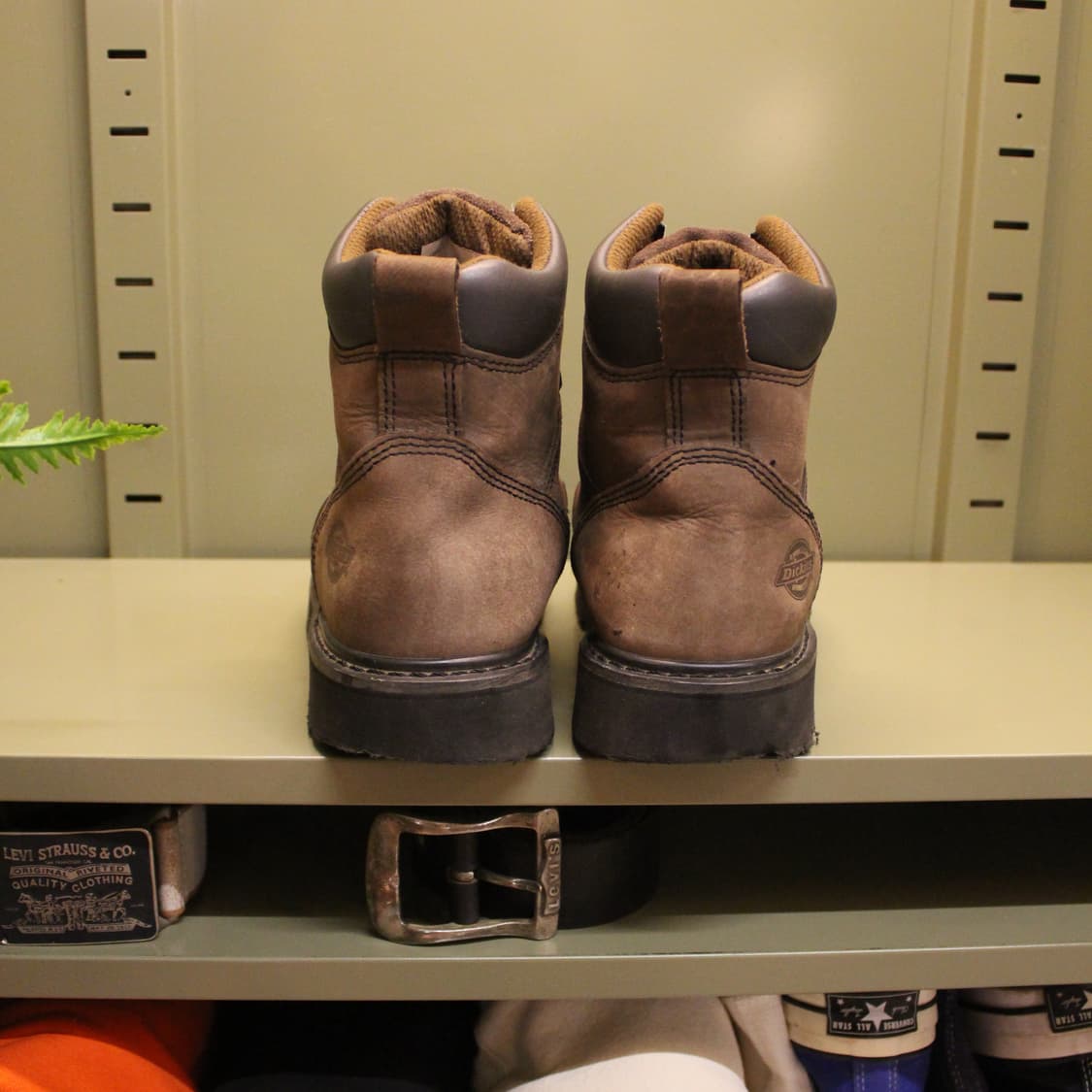 Dickies nubuck Boots 6inch 상품이미지5