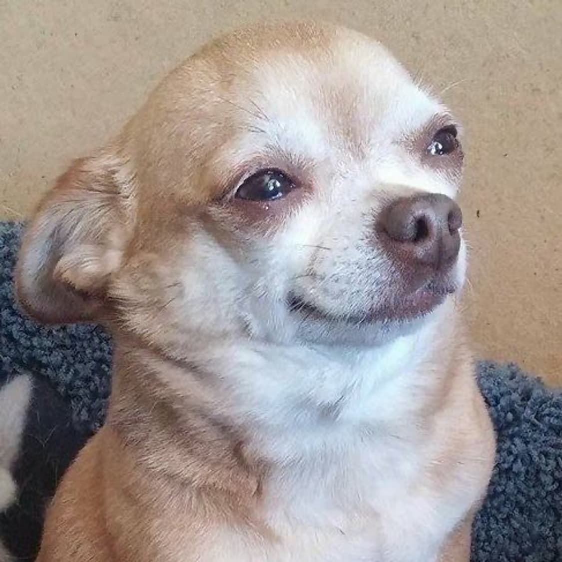 결제창 상품이미지1