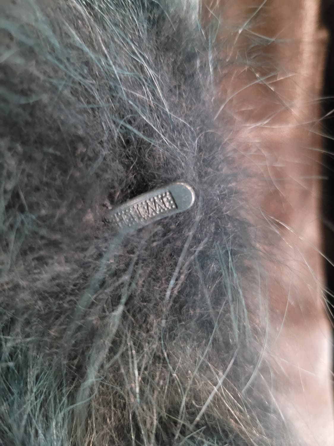 진도 라쿤퍼 자켓55~66 상품이미지5