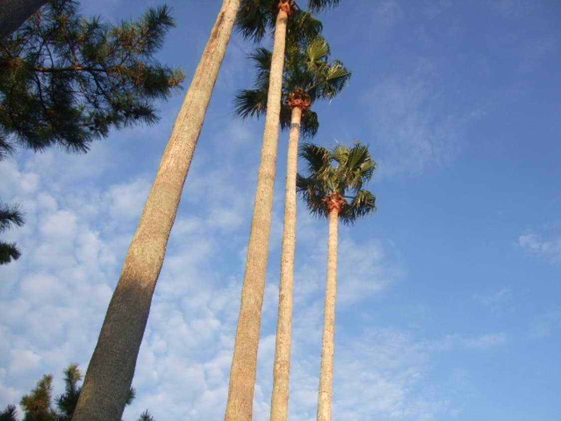 후지 파인픽스 F40fd 상품이미지5