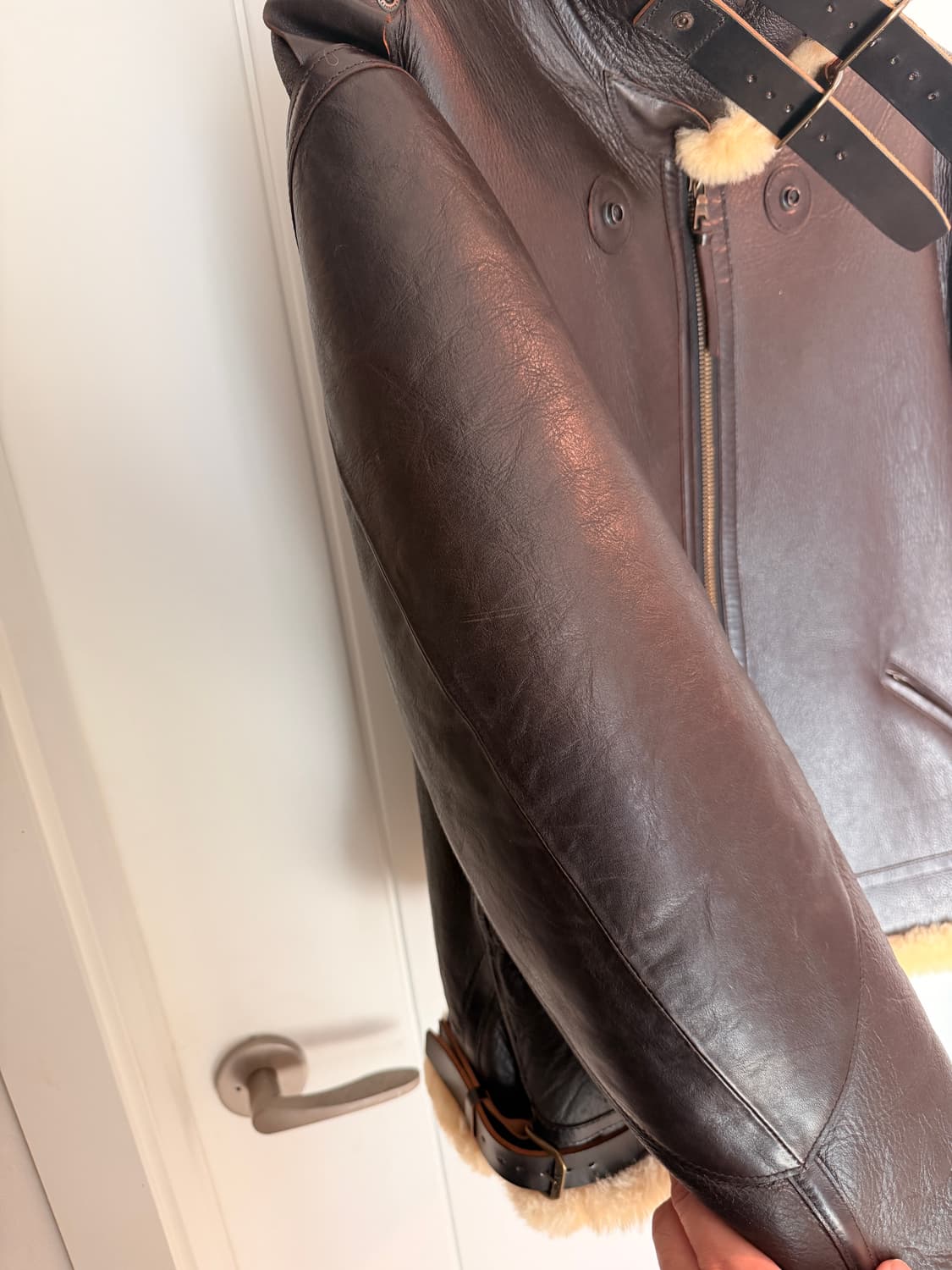 디아프바인 b-3 상품이미지5