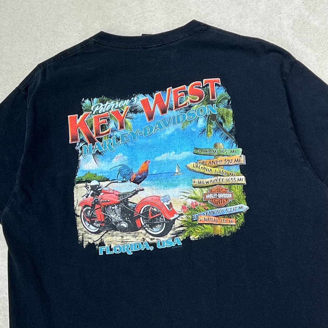 할리 데이비슨 프린팅 반팔티 s09955 상품이미지4