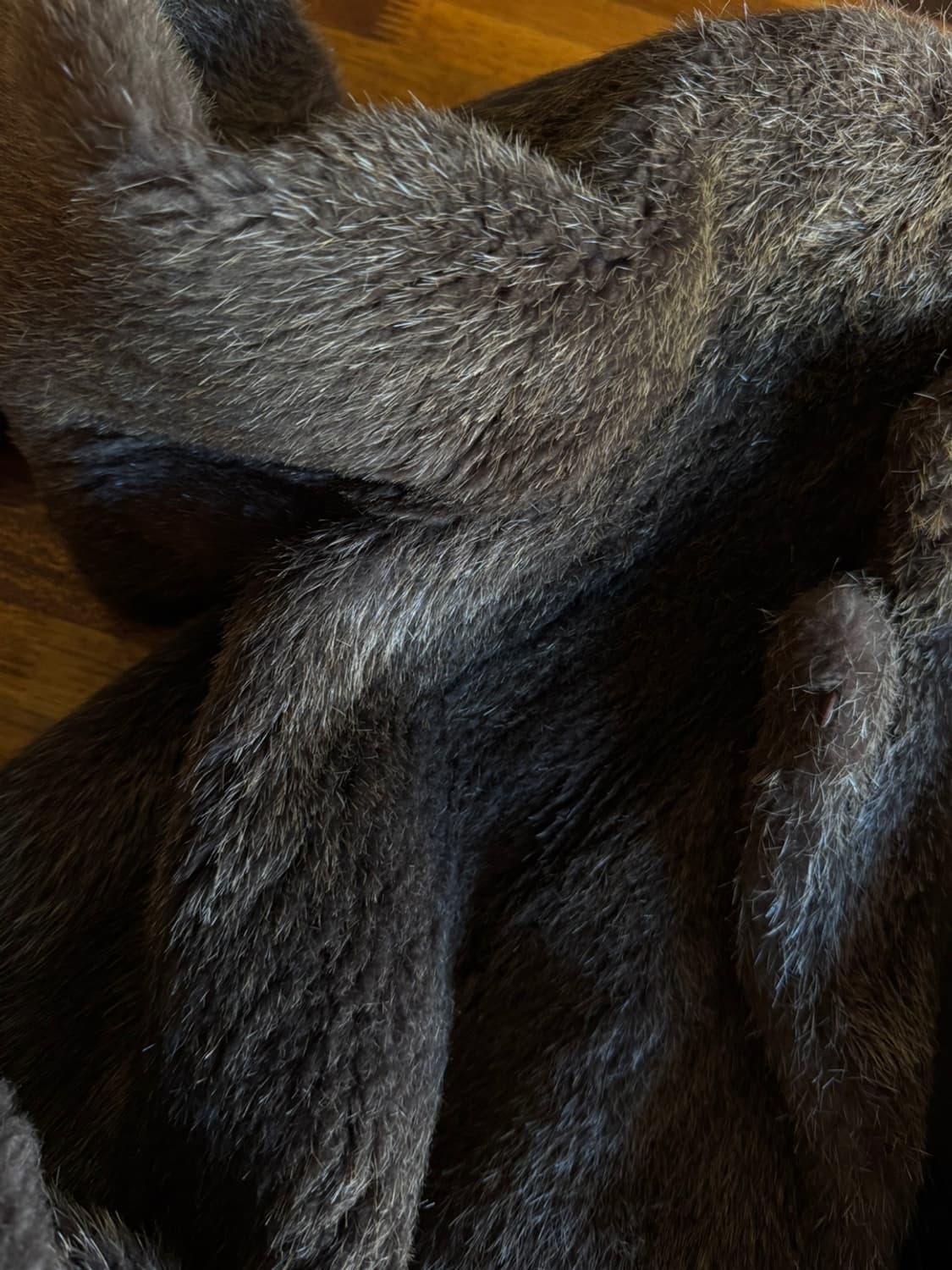 GERSON 거슨 담비 코트 55~66 상품이미지5