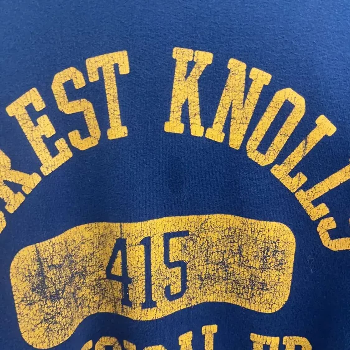 리바이스 올드스쿨 빈티지 레트로 골드탭 프린팅 후드티 M C06745 상품이미지9