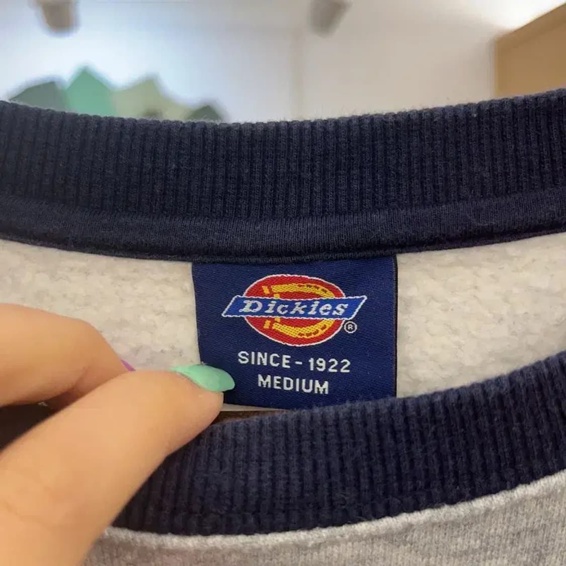 디키즈 스펠아웃 래글런 나그랑 라인 맨투맨 M C07090 상품이미지5