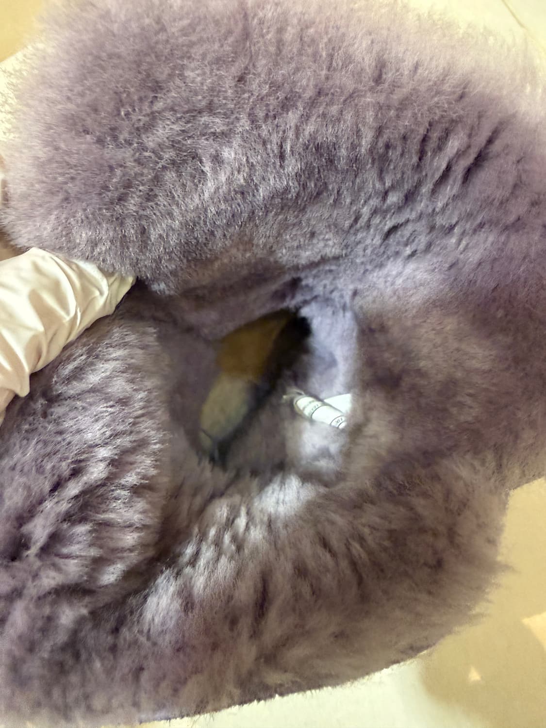 UGG 어그 부츠 240 퍼플 연보라 앵클부츠 롱부츠 털신 여성부츠 어그 상품이미지3