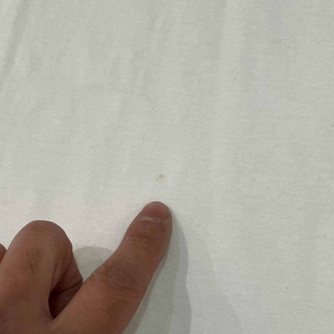  막스마라 로고 반팔티 y16082 상품이미지5