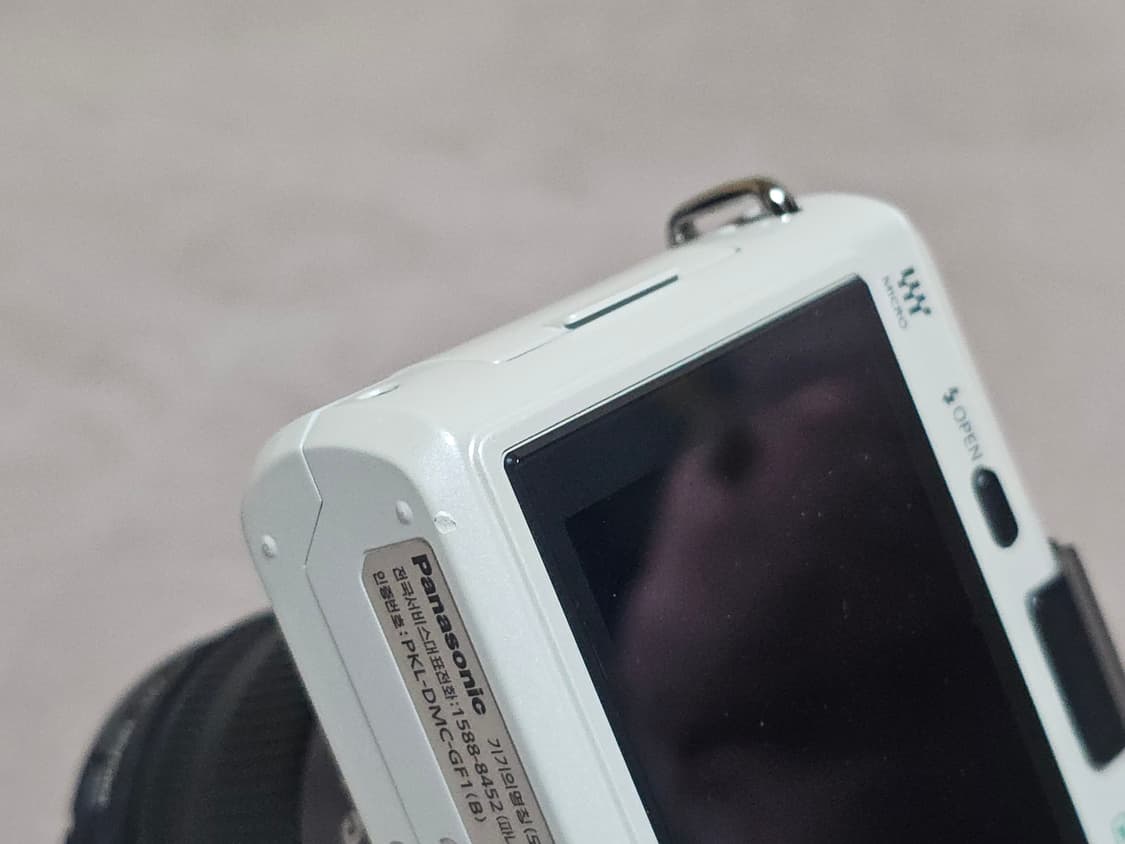 파나소닉 루믹스 GF1 미러리스 카메라 상품이미지8