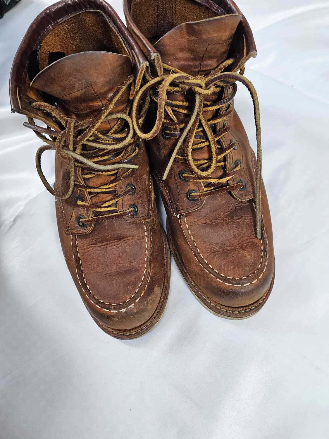 레드윙1907 상품이미지4