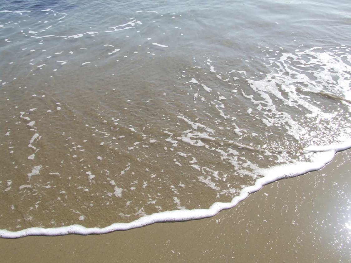 후지필름 파인픽스 디카 Fujifilm finepix S5600 작례O 상품이미지5