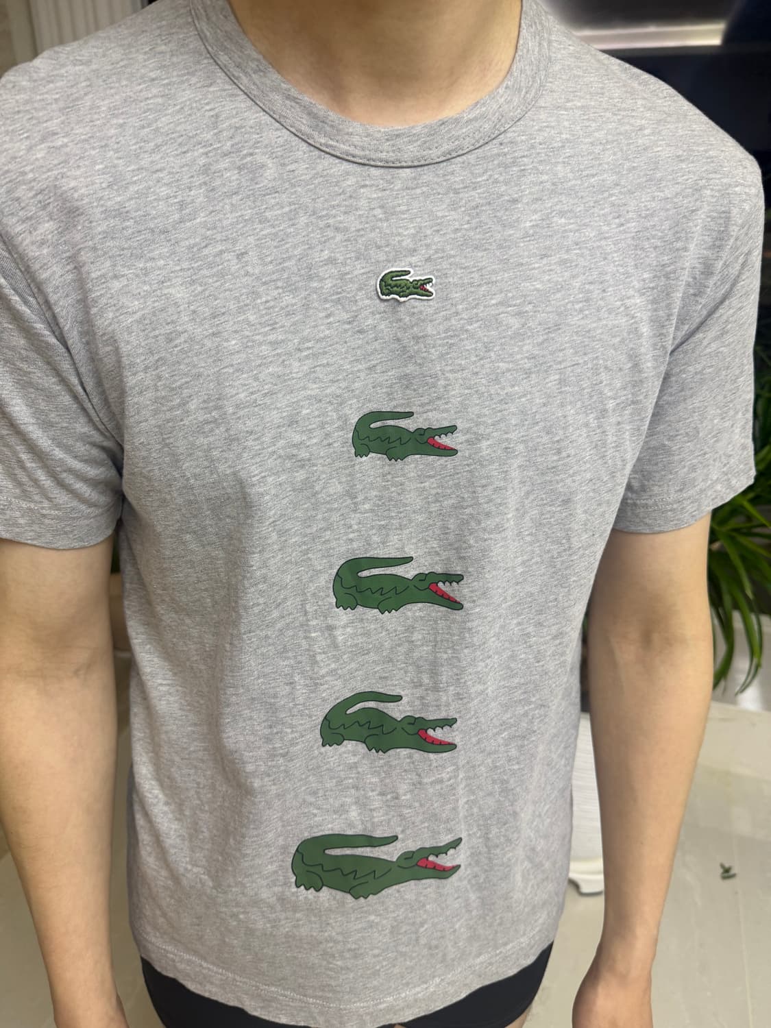 꼼데가르송 라코스테 점점 커지는 악어 🐊  상품이미지1