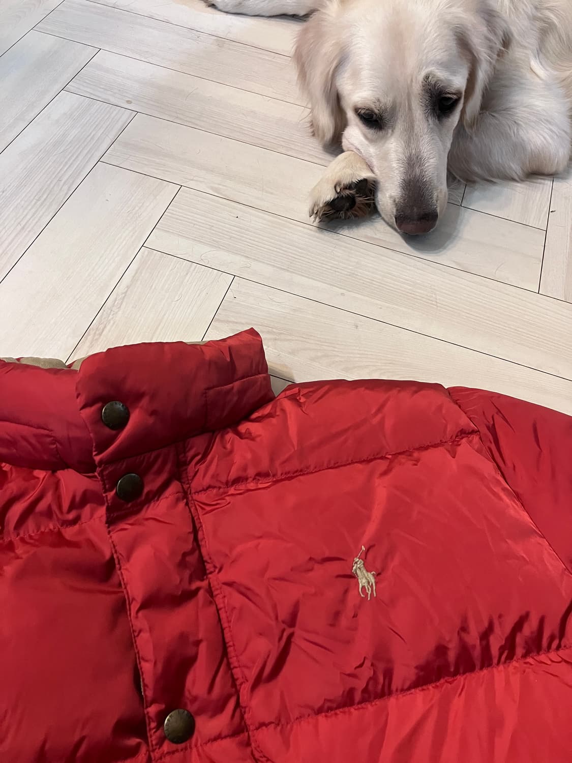 폴로랄프로렌 적다운 100~105 상품이미지7