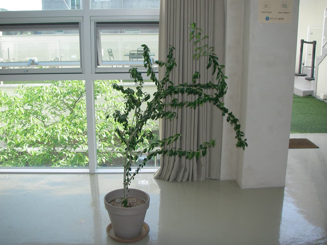 작티 산요 e6 화이트 상품이미지7