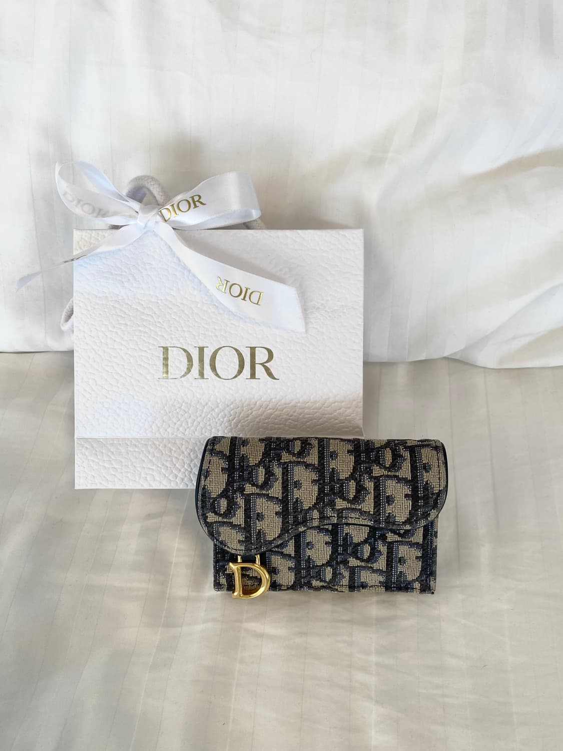 디올 새들 블룸 카드 지갑 (블루 오블리크 자카드) 상품이미지1