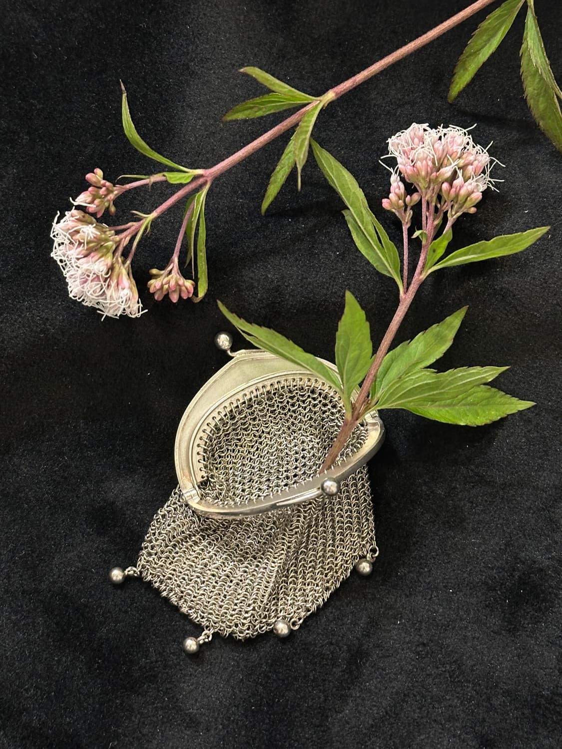 French Coin Silver Chain Purse 상품이미지2