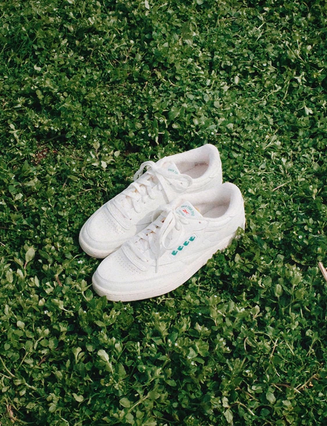 [275]컬렉트피시스 클럽 C85 상품이미지1