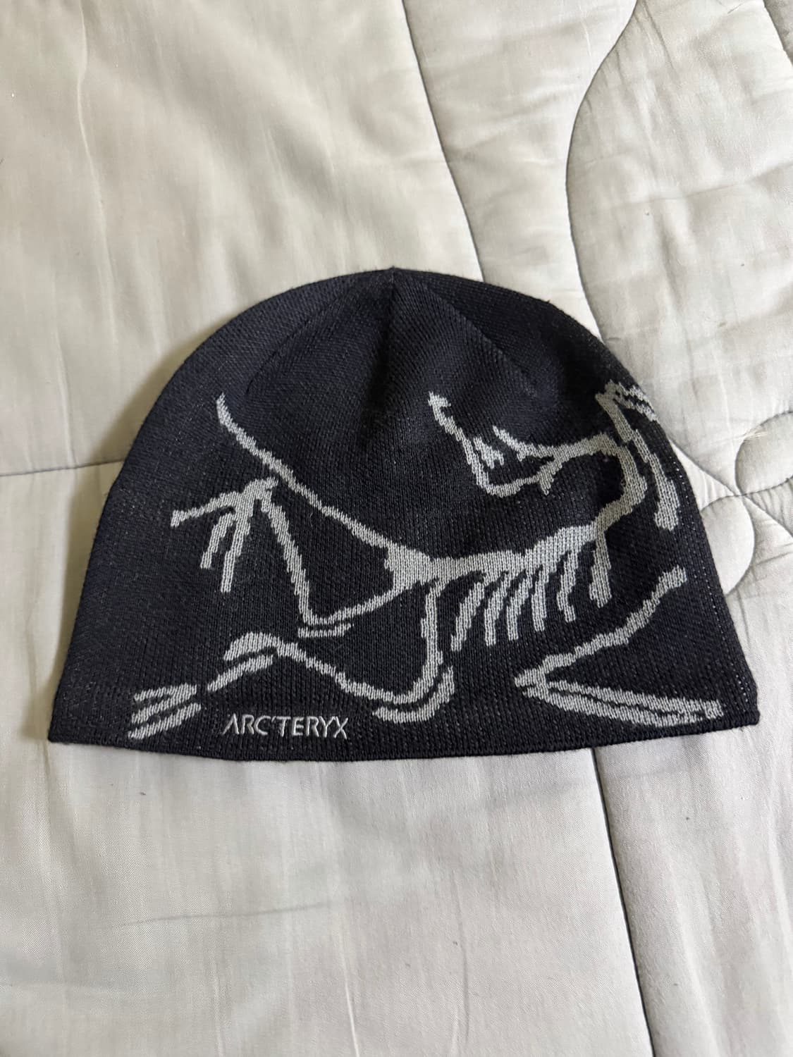 아크테릭스 비니 상품이미지1