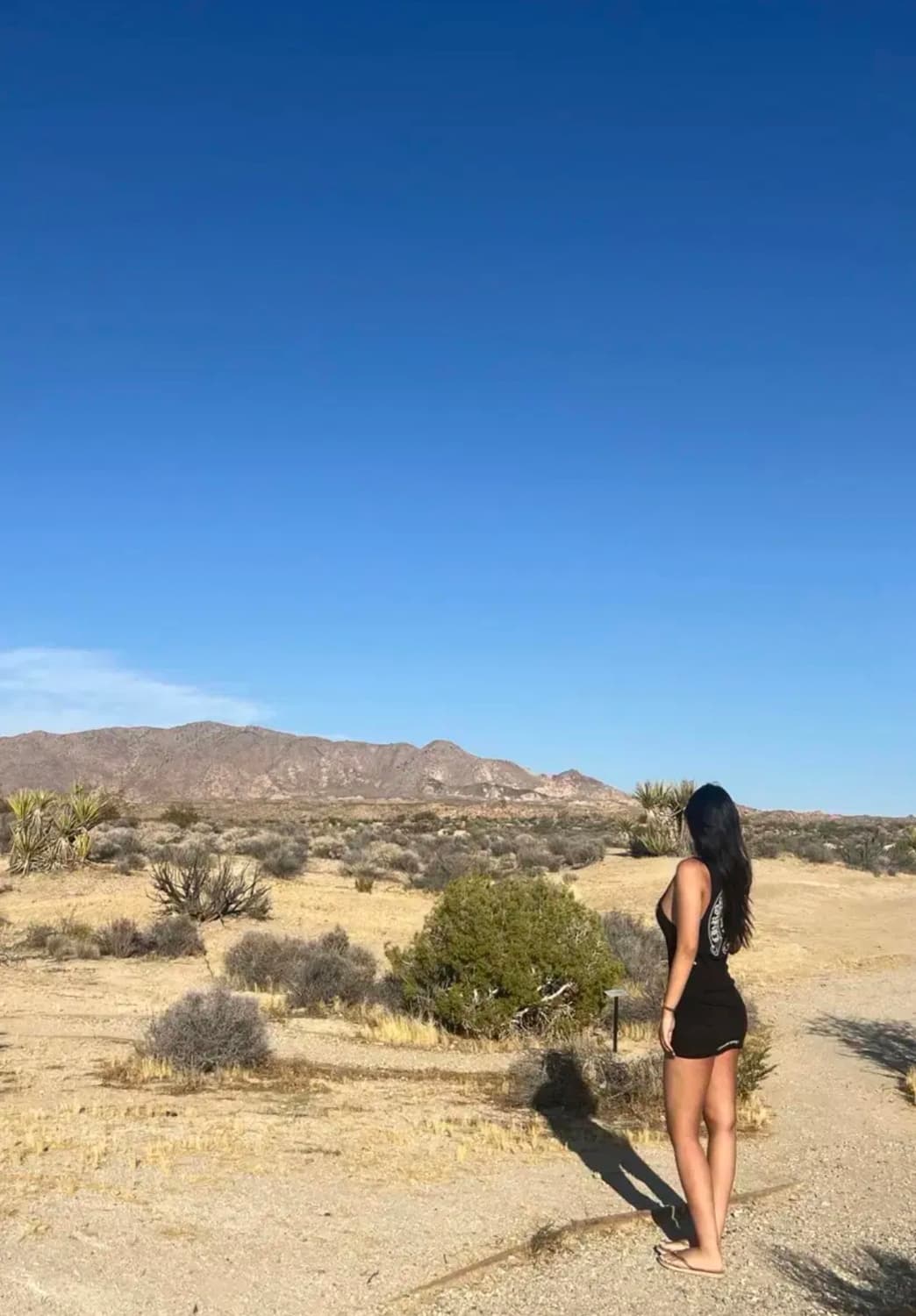 크롬하츠 홀스슈 탱크탑 M 상품이미지4