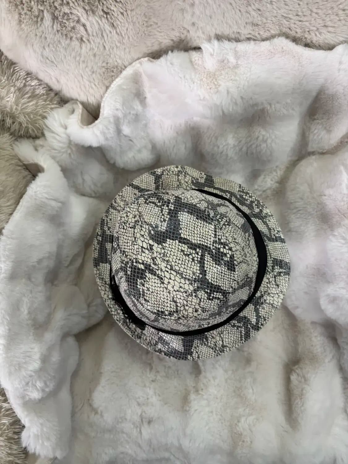 스네이크 패턴의 페도라 모자 상품이미지4