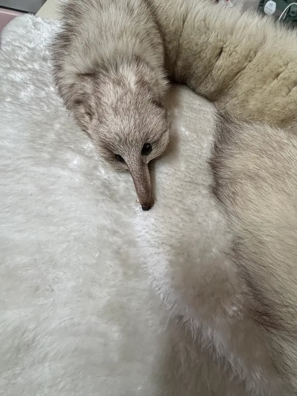 한강 모피 리얼 폭스(여우) 모피 목도리 숄 머플러 상품이미지2