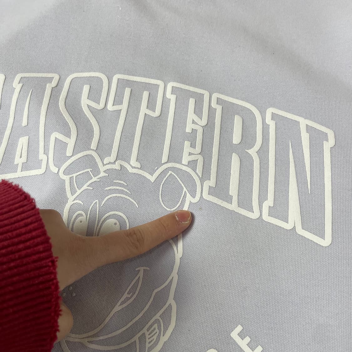 NBA 연보라 도그 프린팅 맨투맨 S 상품이미지6