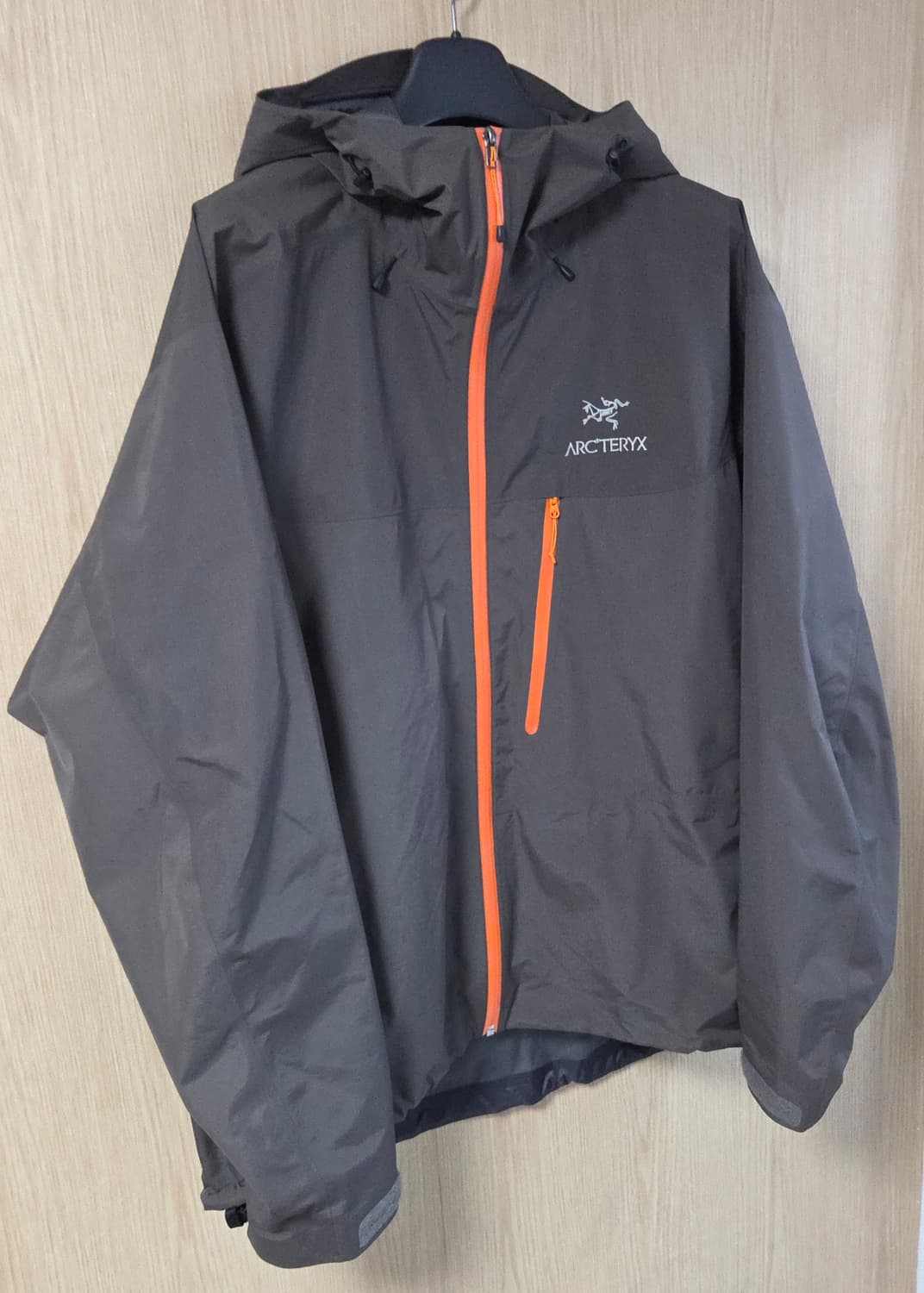 (착샷) 아크테릭스 알파 SL 고어텍스 자켓 상품이미지2