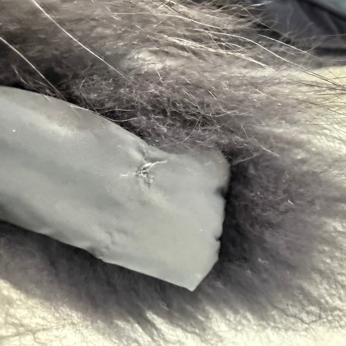 [M] 플라스틱아일랜드 여성 덕다운 롱패딩 0105T1 상품이미지4