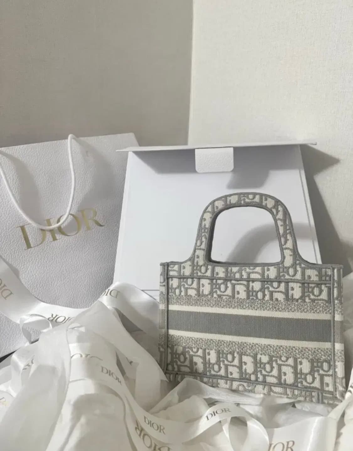 디올 오블리크 북토트 미니 상품이미지6