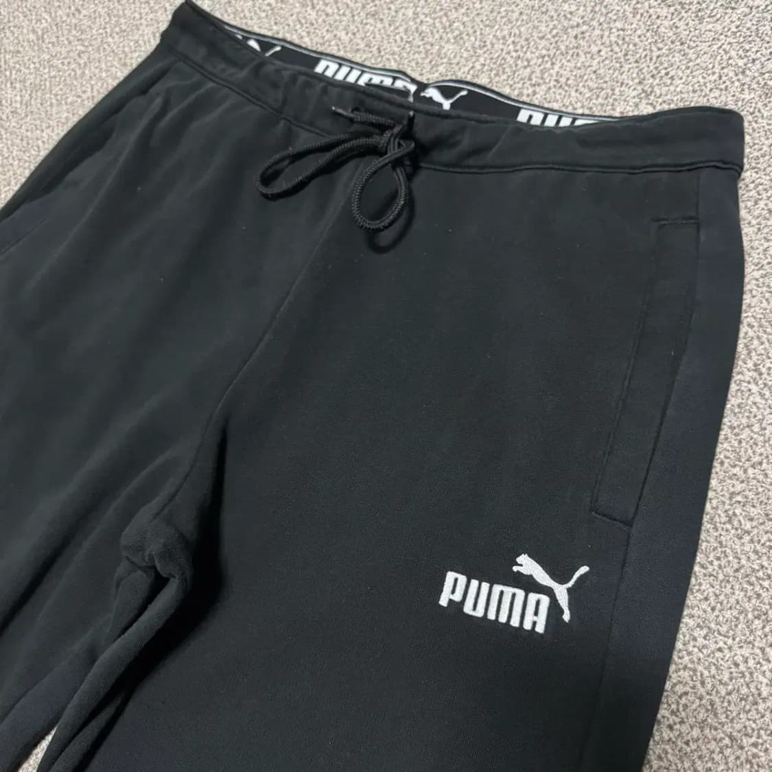L 퓨마 트레이닝 팬츠 상품이미지2