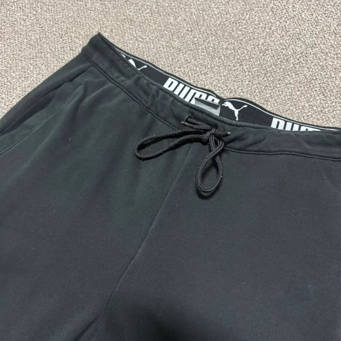 L 퓨마 트레이닝 팬츠 상품이미지3