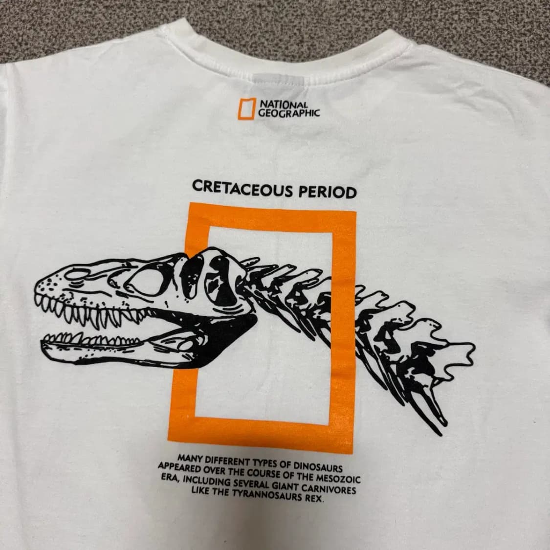 M 내셔널지오그래픽 반팔 여성 상품이미지6