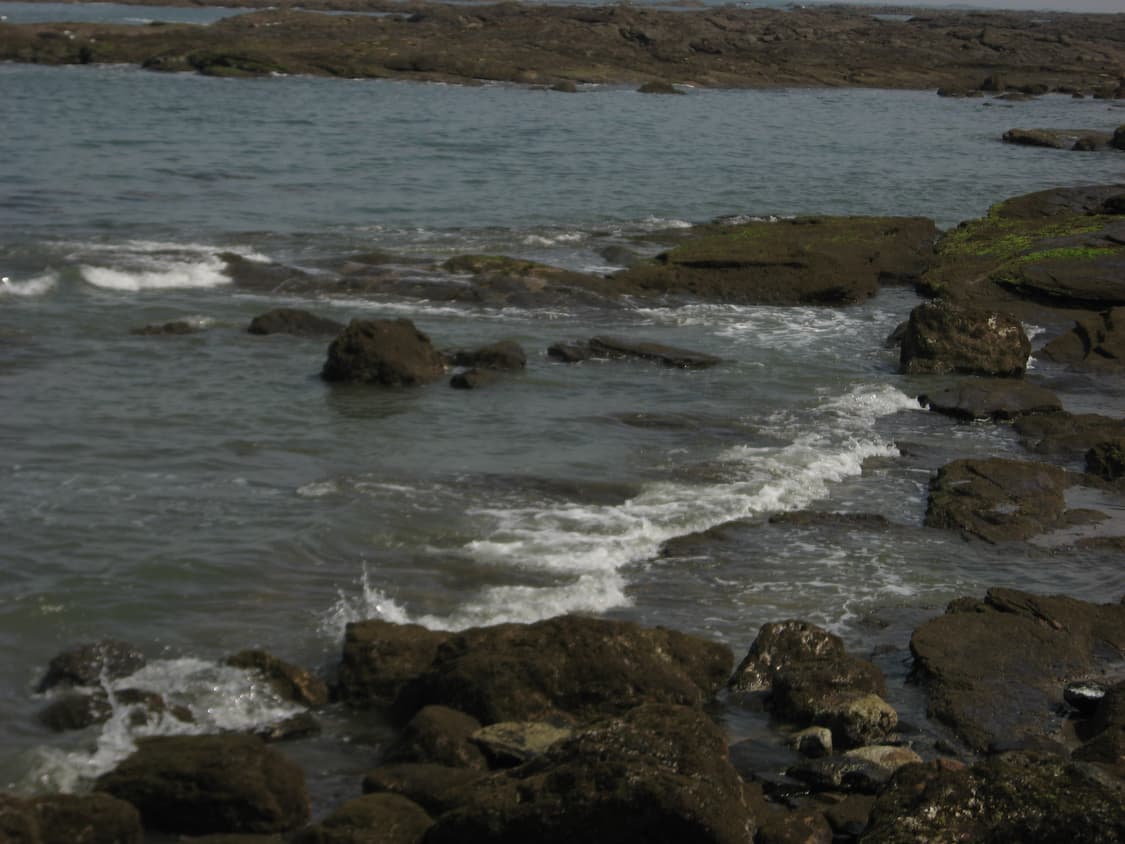 canon ixy800is/ ixus800is 상품이미지5