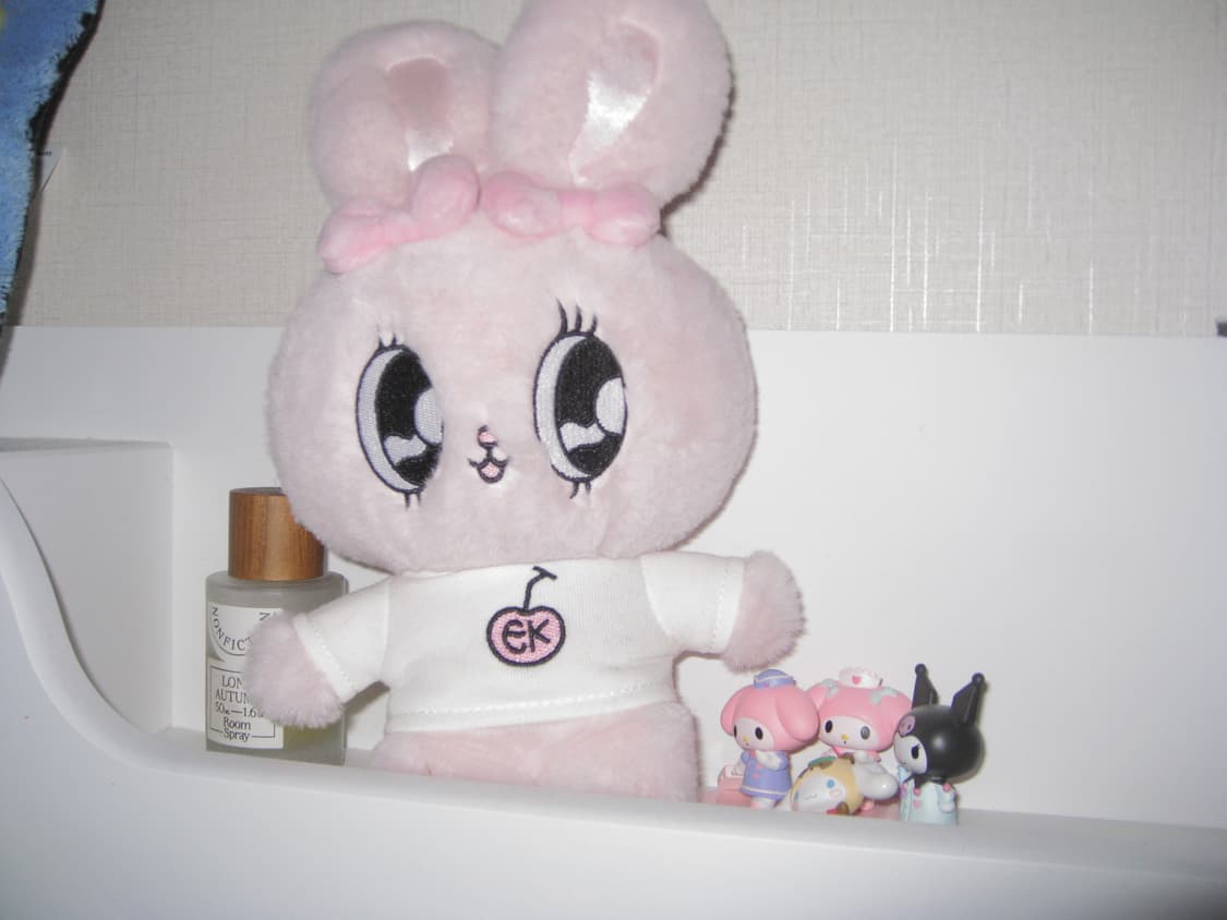 캐논 익서스 950 is (익시 810 is) 상품이미지9