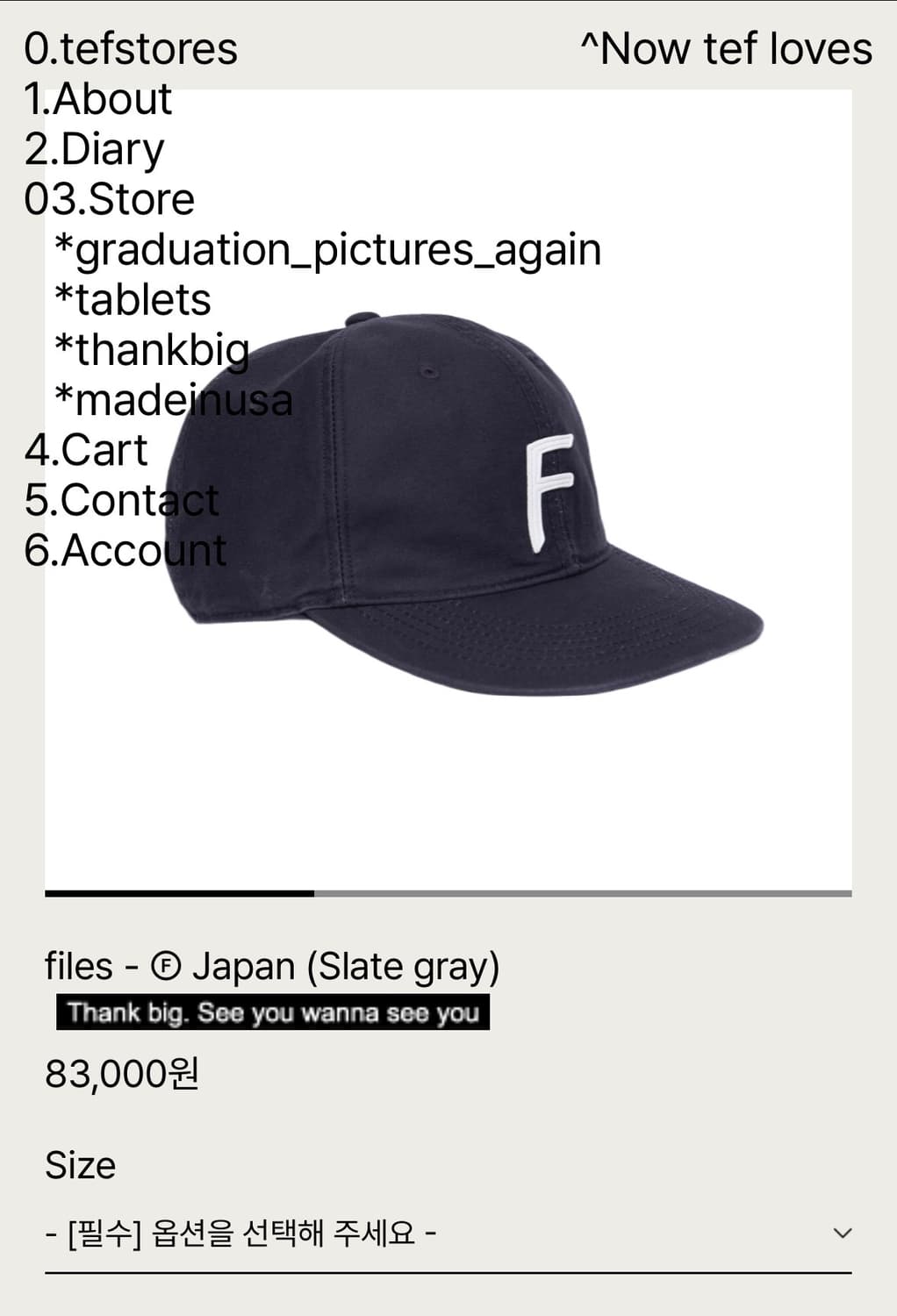 테프스토어즈 files F 볼캡 슬레이트 그레이 상품이미지1