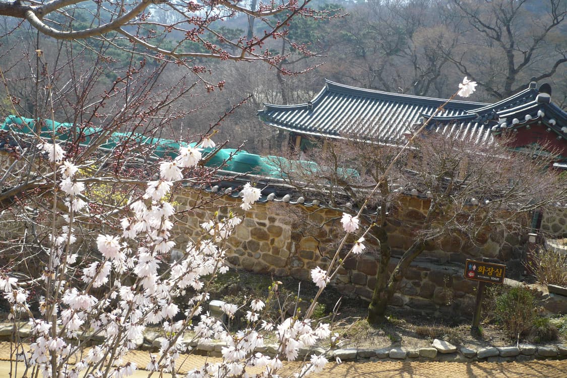 파나소닉 루믹스 DMC-LS75빈티지 디카 (+ SD카드 ) 상품이미지10