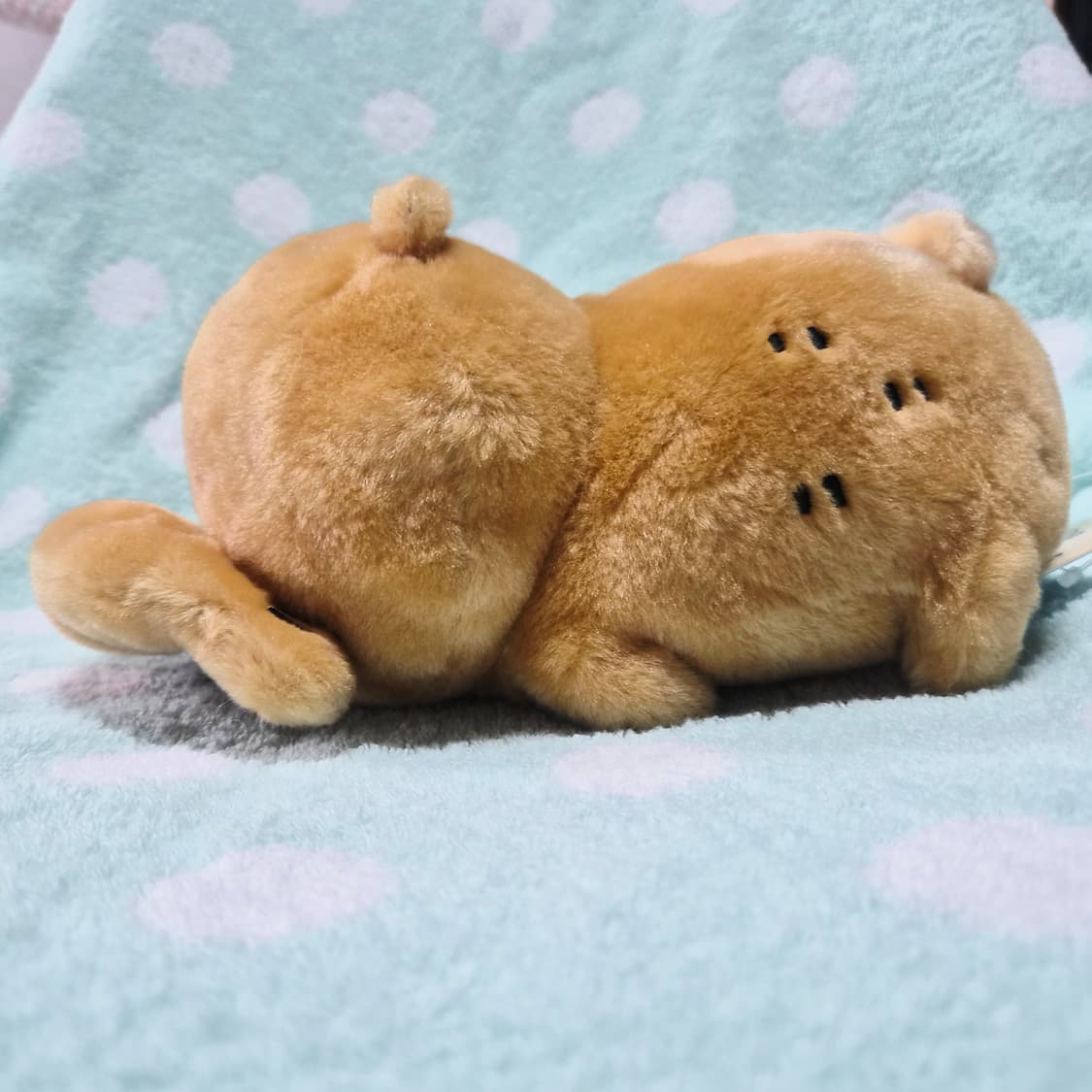 농담곰 목각곰 상품이미지4