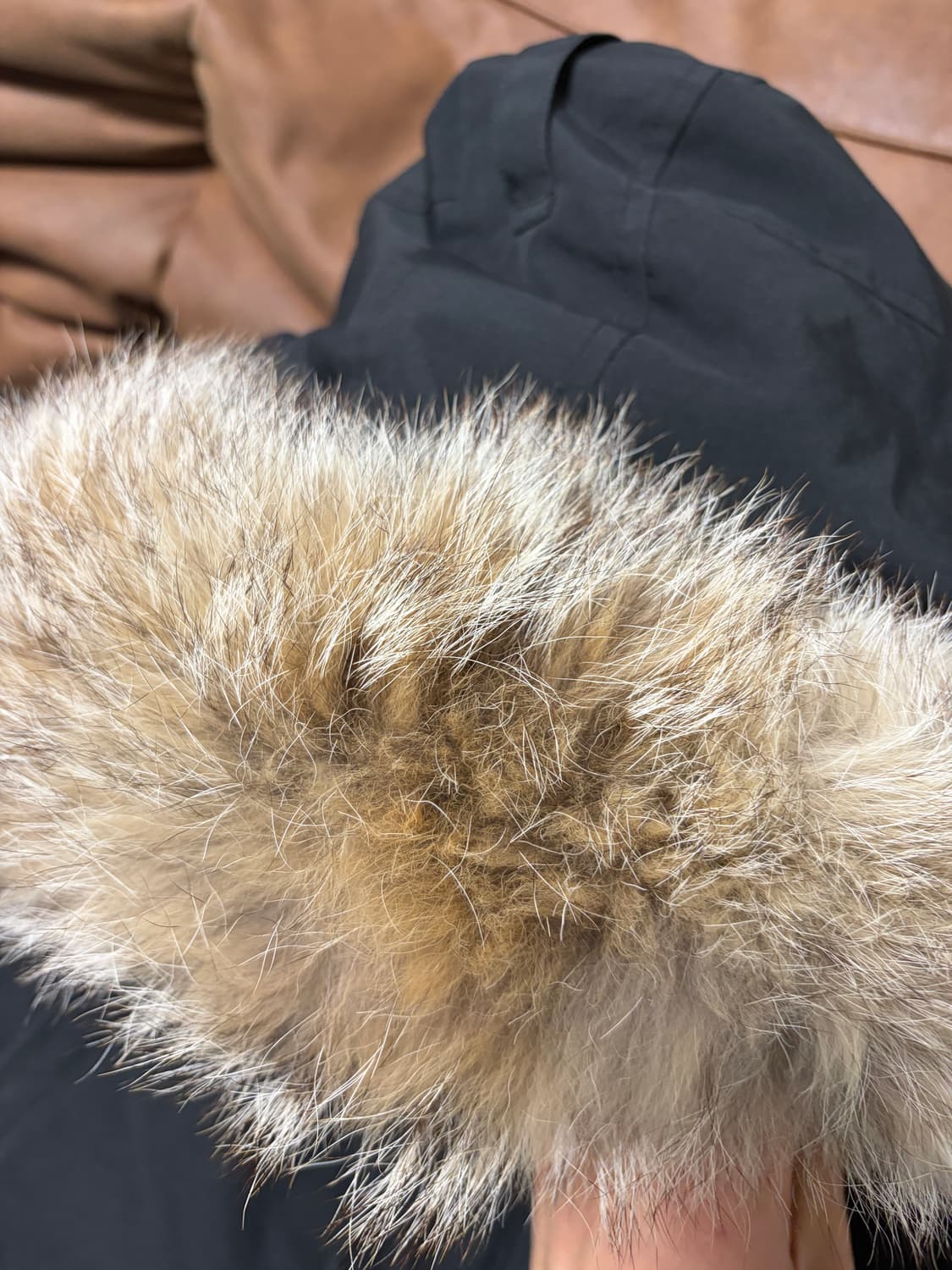 캐나다구스 칠리왁 22FW (코요테퍼) 상품이미지3