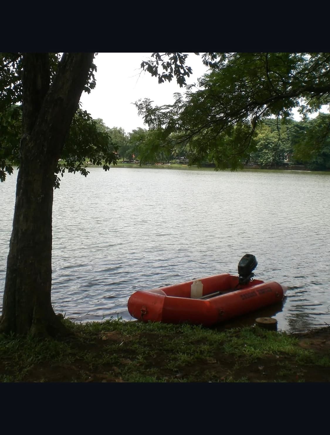 카시오 엑실림 z60 디지털카메라 상품이미지9