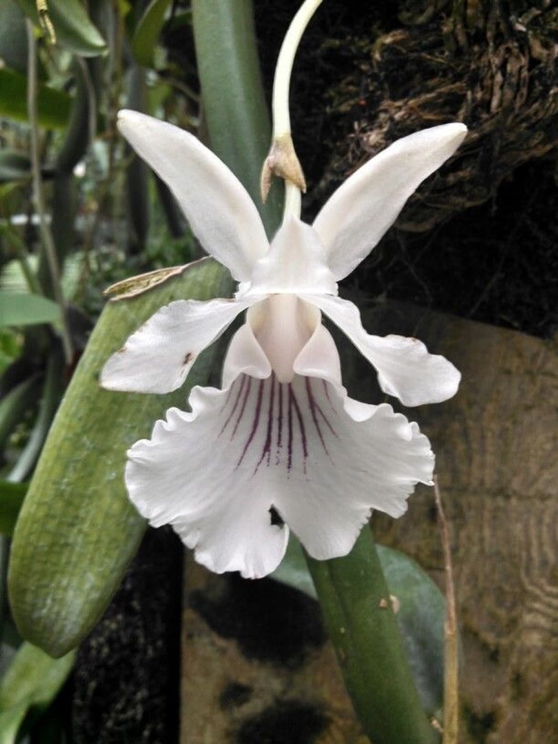 개인결제창 상품이미지1