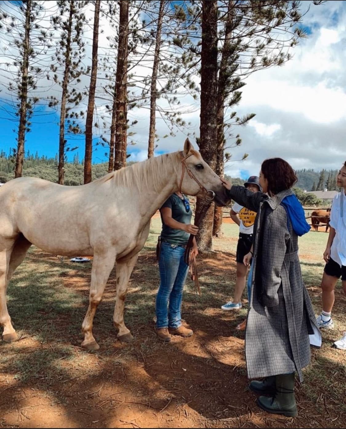 프론트로우 푸시버튼 콜라보 체크 후디 포인트 싱글버튼 롱코트 S 상품이미지4