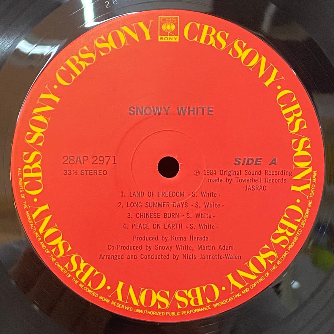 (LP-초민트시리즈) Snowy White - White Flames 상품이미지4