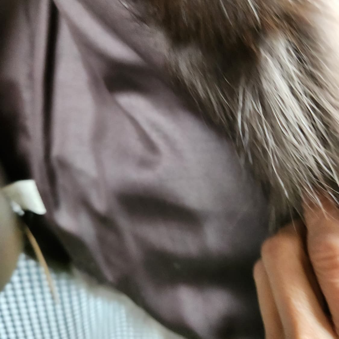 폭스퍼 베스트 / 브라운톤 퍼 아우터 상품이미지8