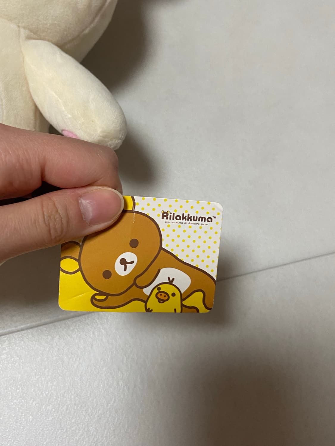 고전 코리락쿠마 기본 베이직 인형  상품이미지4